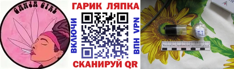 ГАШ Изолятор Новая Ладога