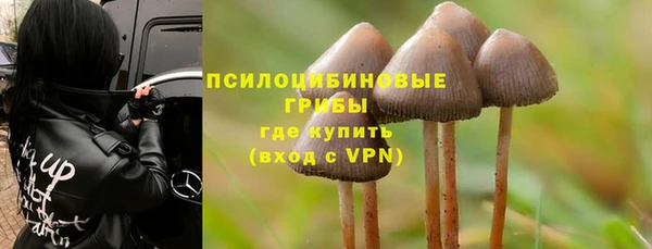 сатива Алексеевка