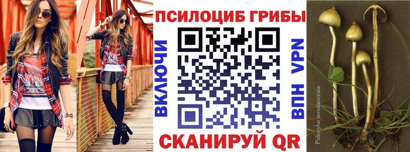 Галлюциногенные грибы Magic Shrooms  Новая Ладога 